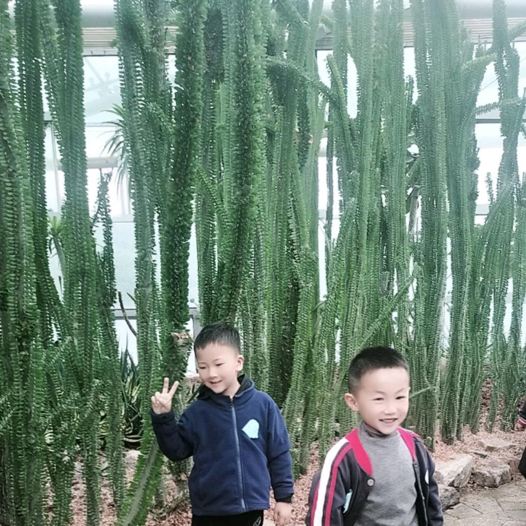 一一丫丫