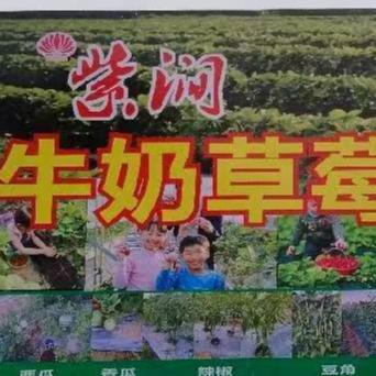 牛奶草莓果蔬采摘园