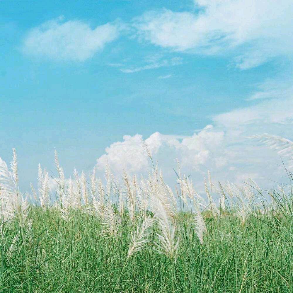 小六月。