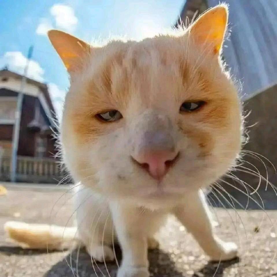 ლ惊觉✿