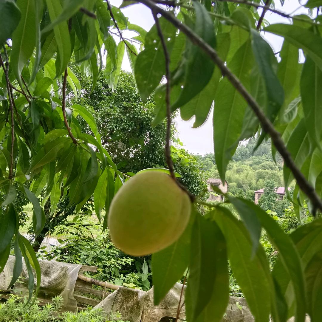 天边有☁
