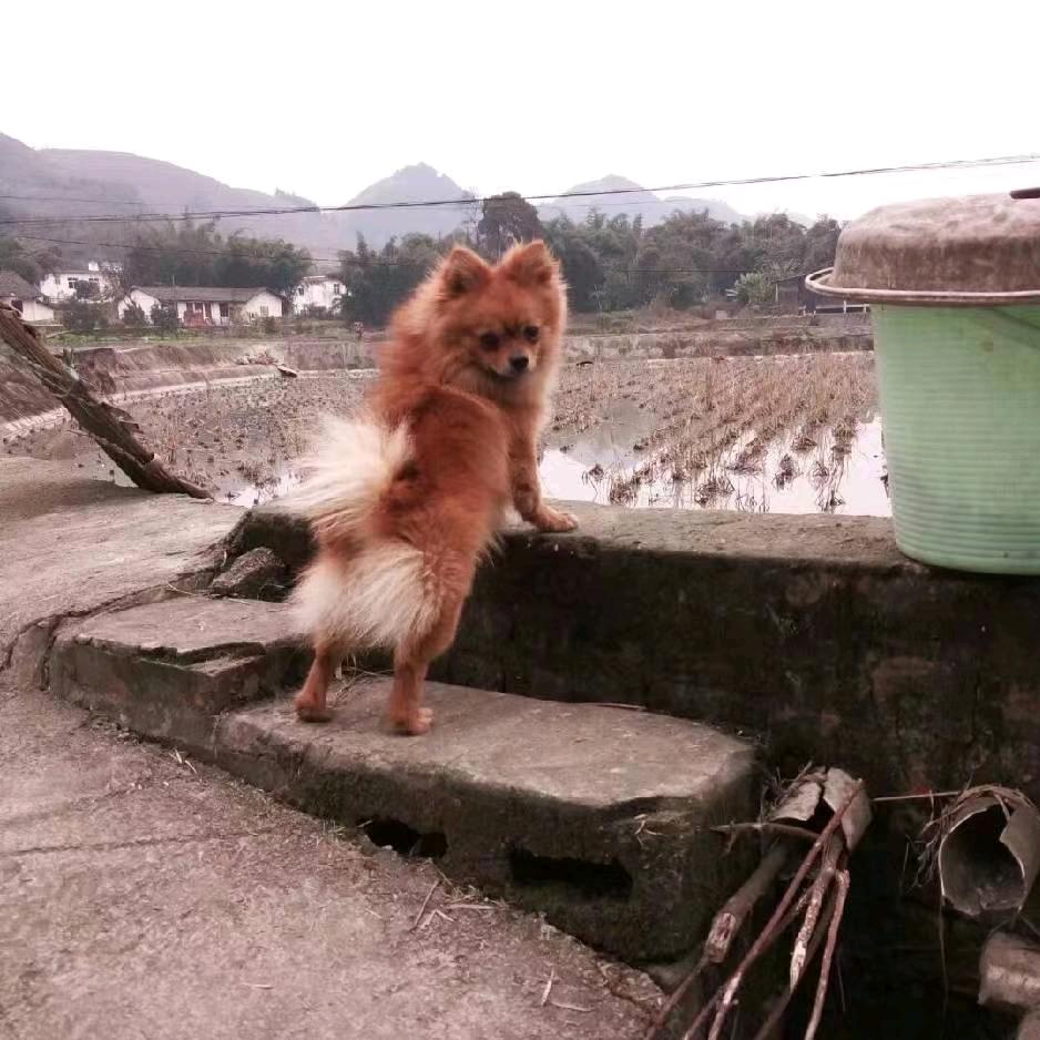 我心飞扬
