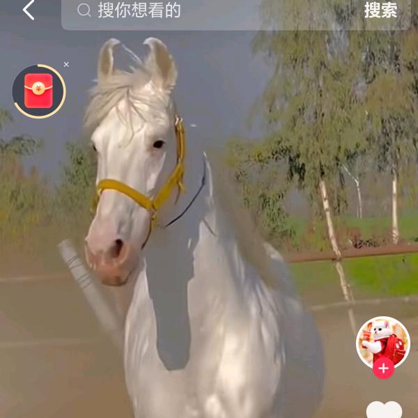 崔先生