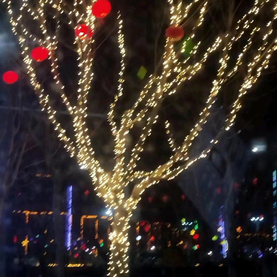 天涯咫尺（新疆纸皮核桃）