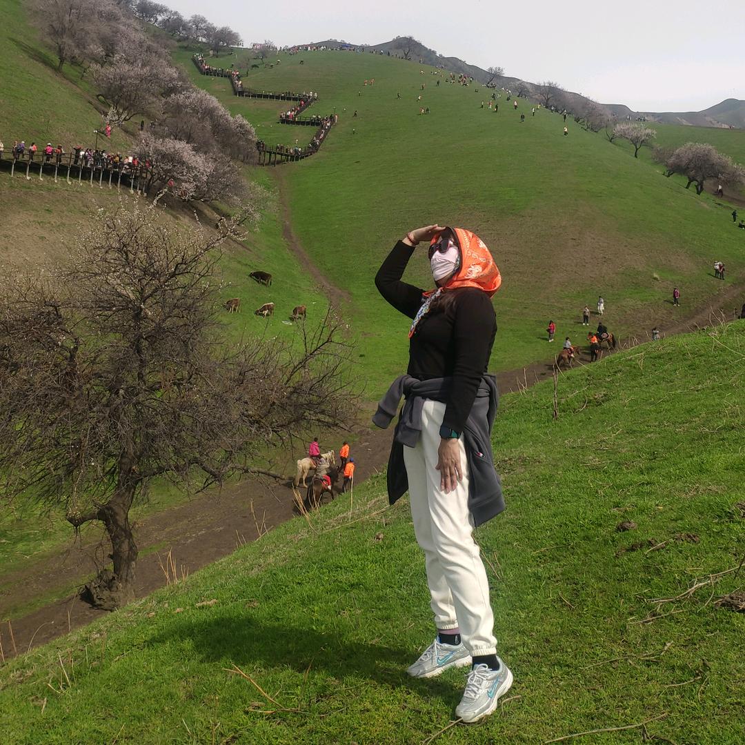 四格格(ღ♡‿♡ღ)往事清零