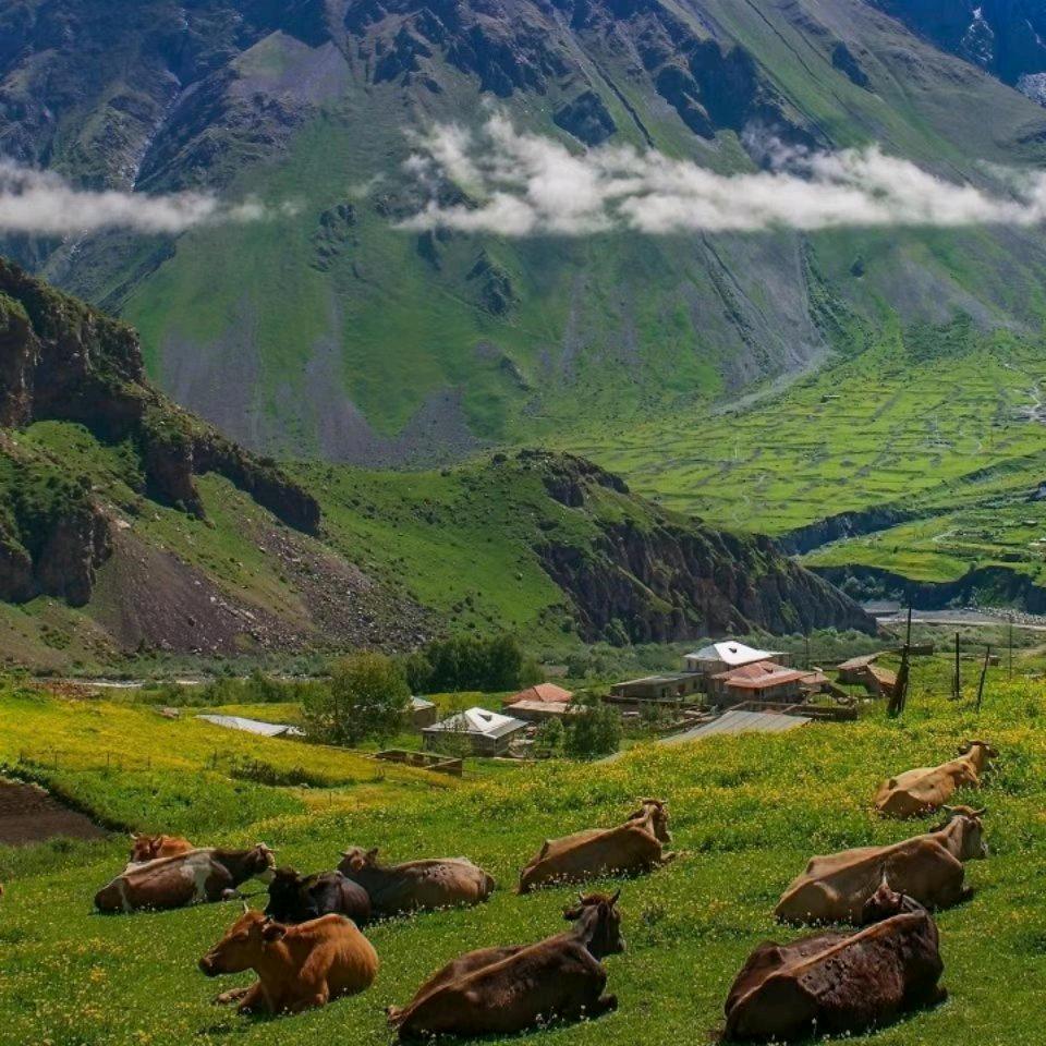 虎头山  大天敞