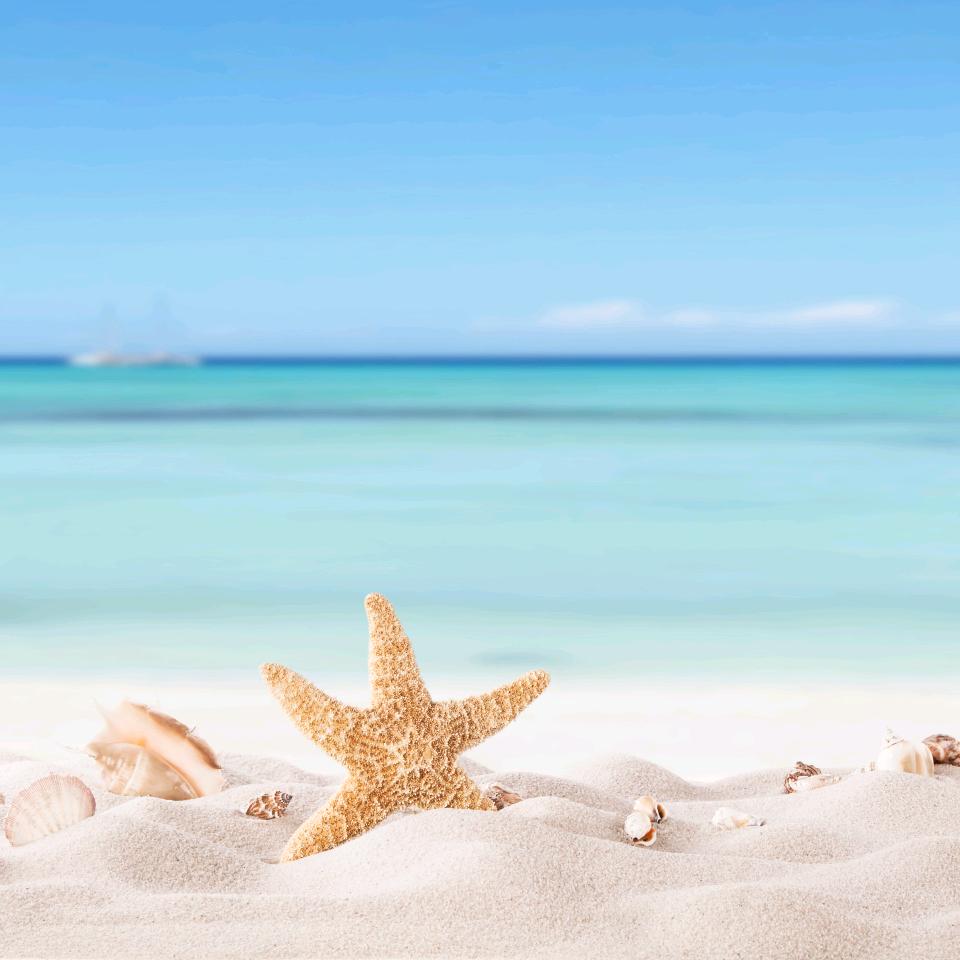 ︶﹌⋛遇見ლ晓晓的τíＭě⋚﹌︶