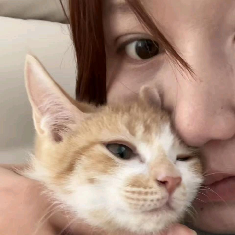 汉堡🍔（三角洲）