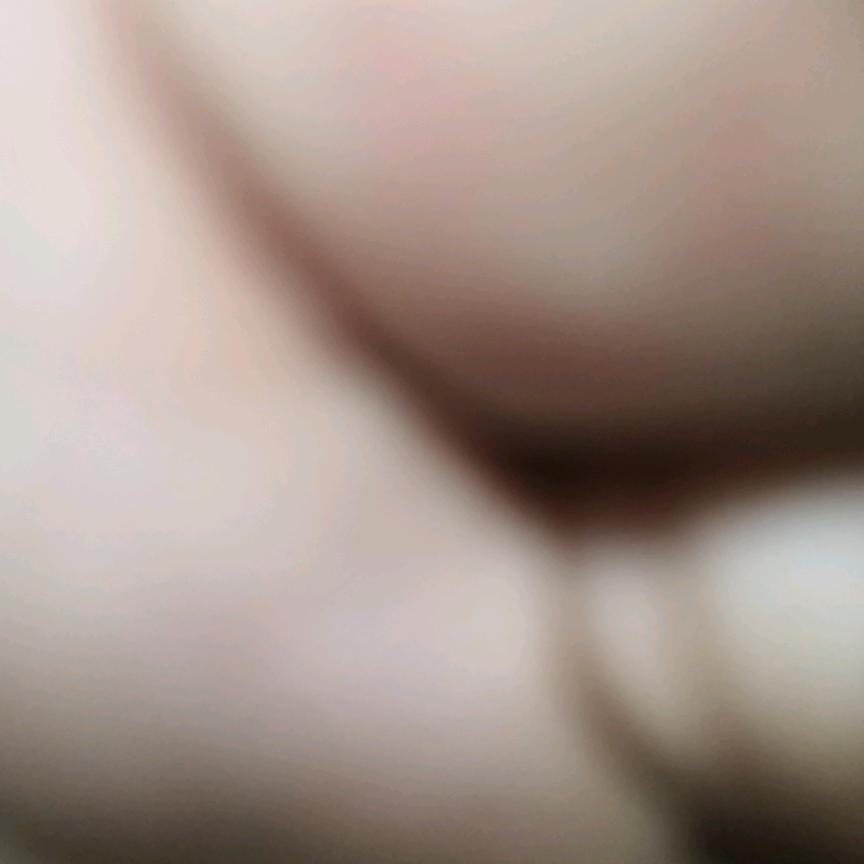 沐阳光明媚半城