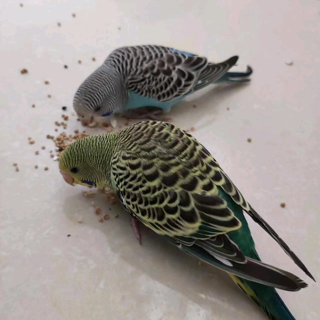 ᭄ꦿ秦࿐ི