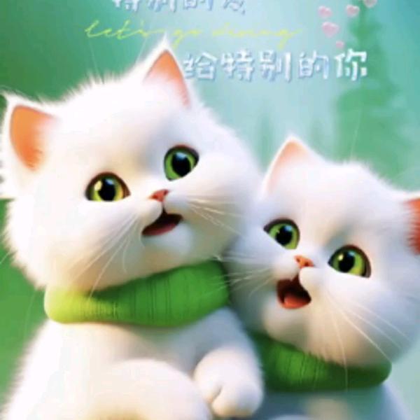 梦~之~梦