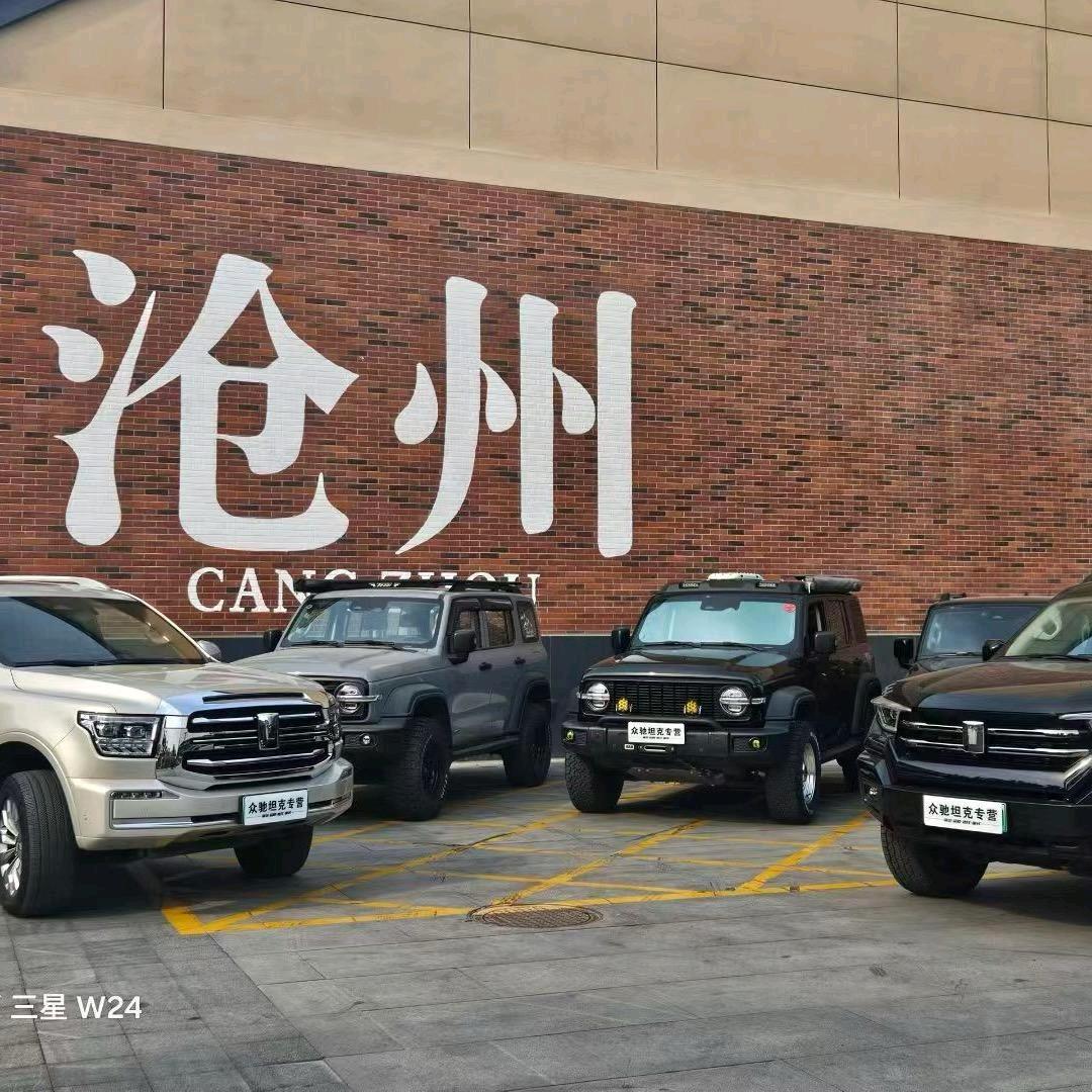 开坦克的贝塔。