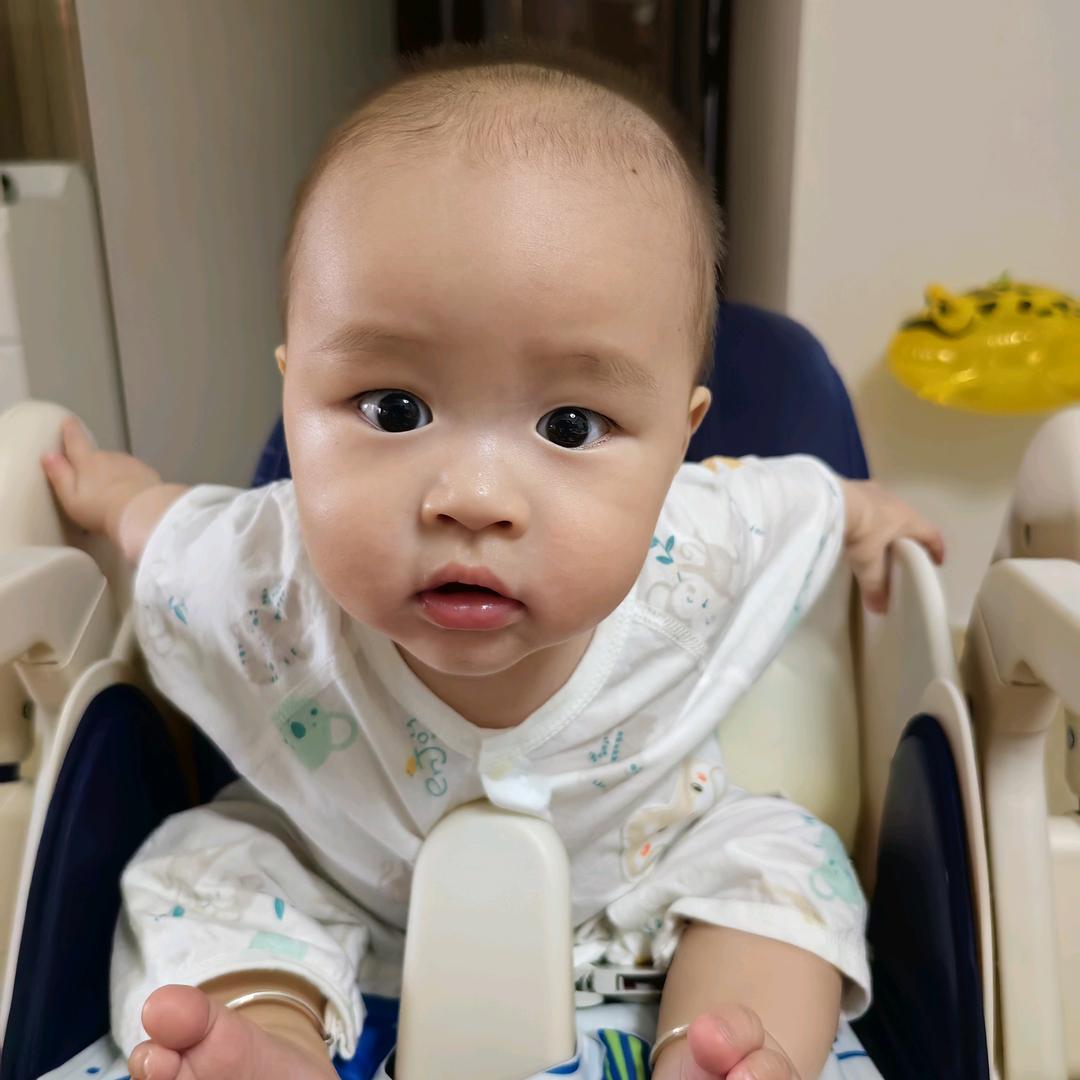 小鱼儿的日常（钓鱼版）