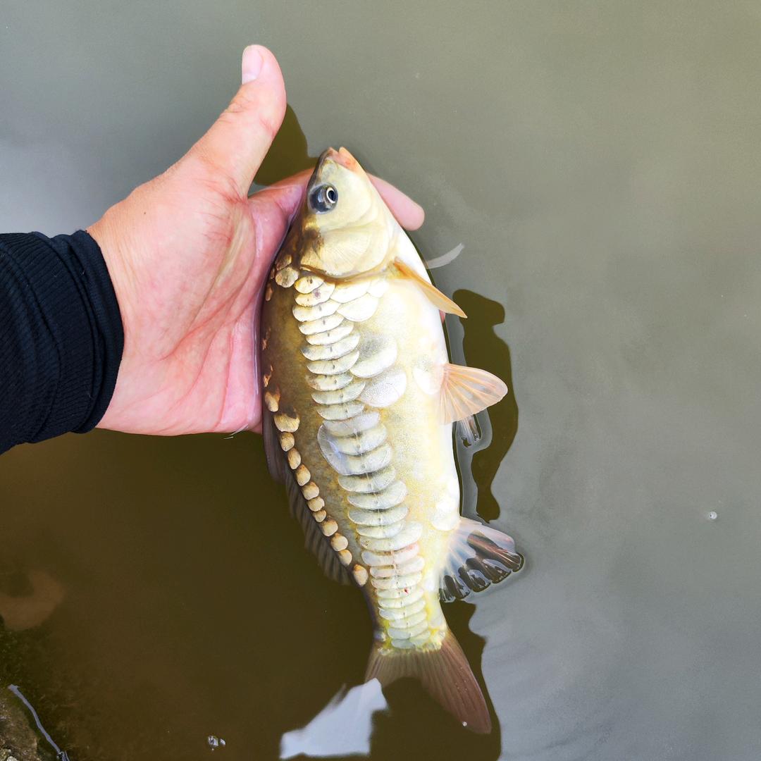 🌈钓够10斤就收手💫.ing