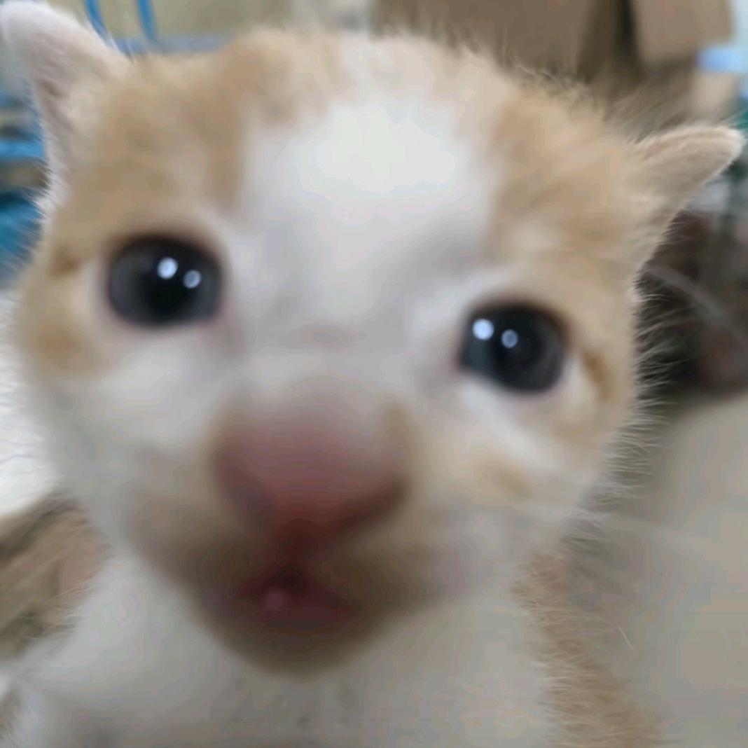 (