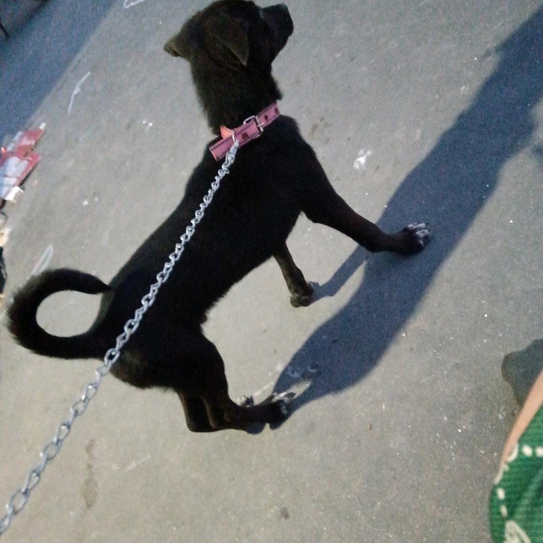 想你的时候真的很想哭