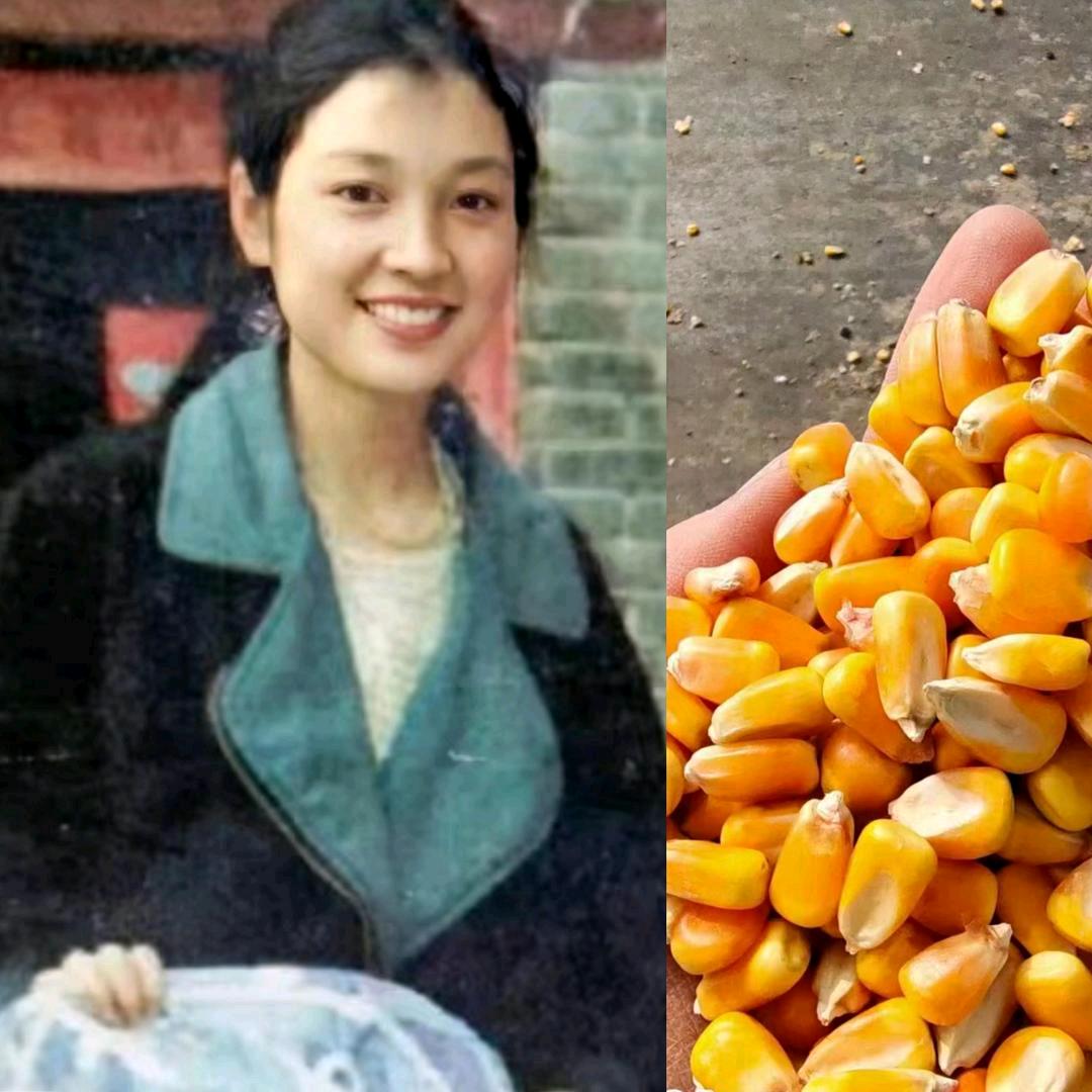封丘县拥军粮食收购点