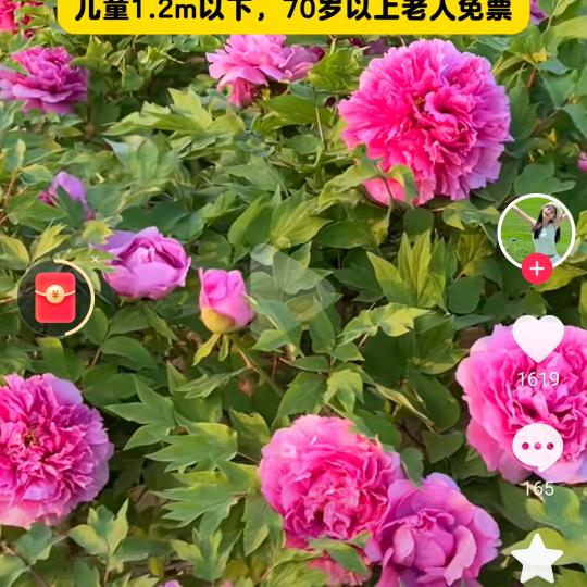 残疾人的生活