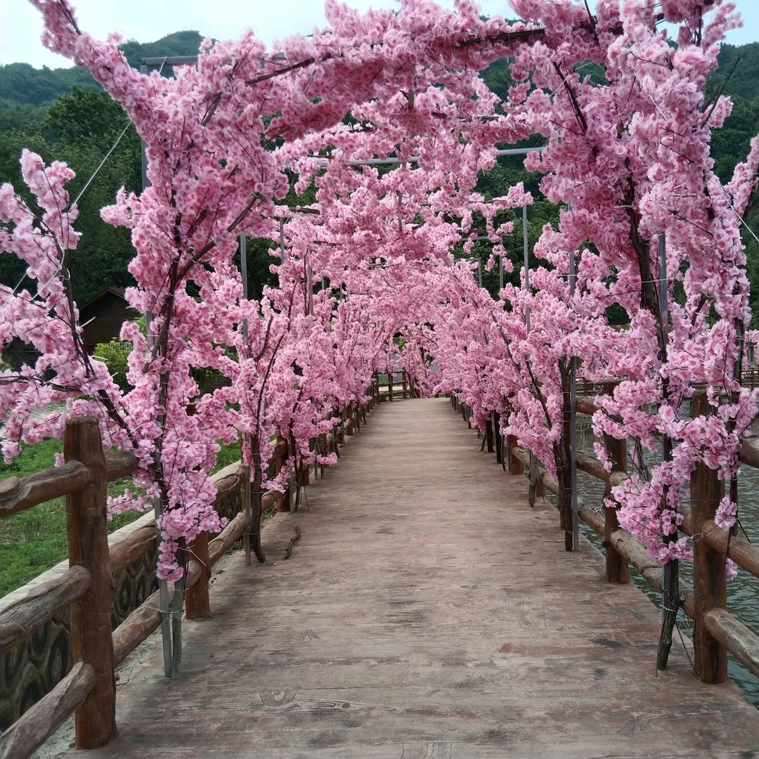 💞ღ᭄别碰ོ我心ོꦿ᭄࿐