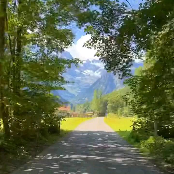 平凡的岁月