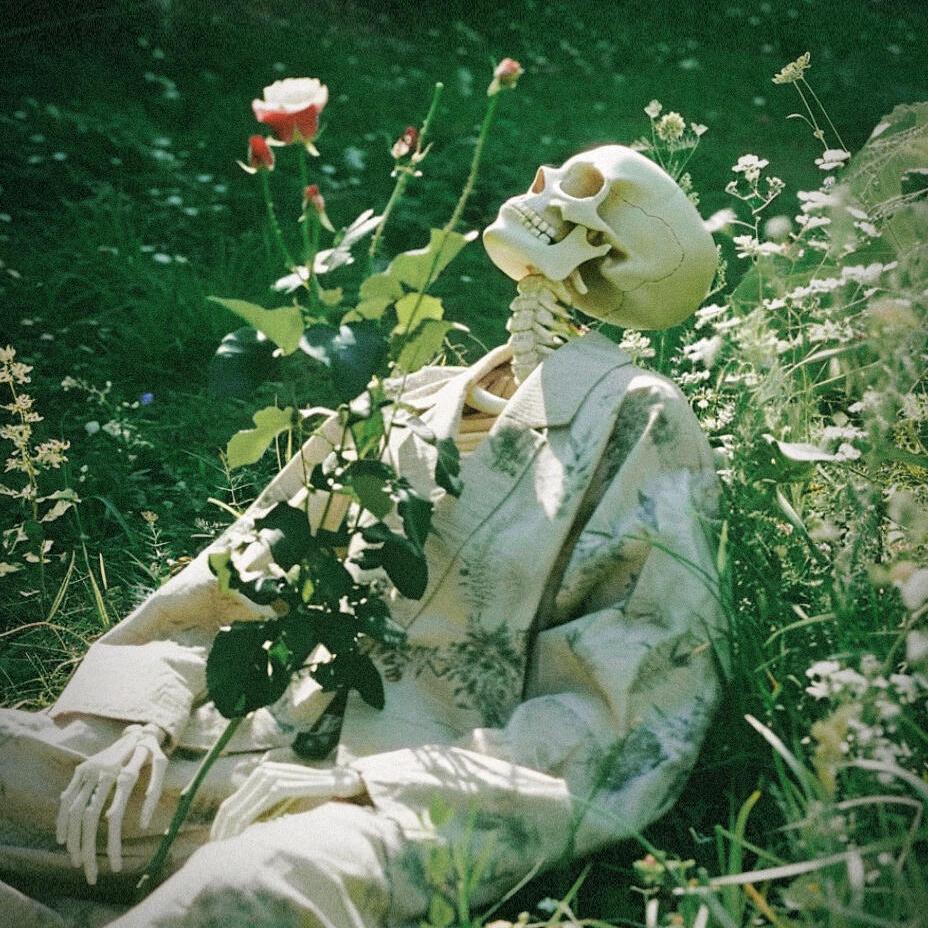 🌈痞帅小小怪将军