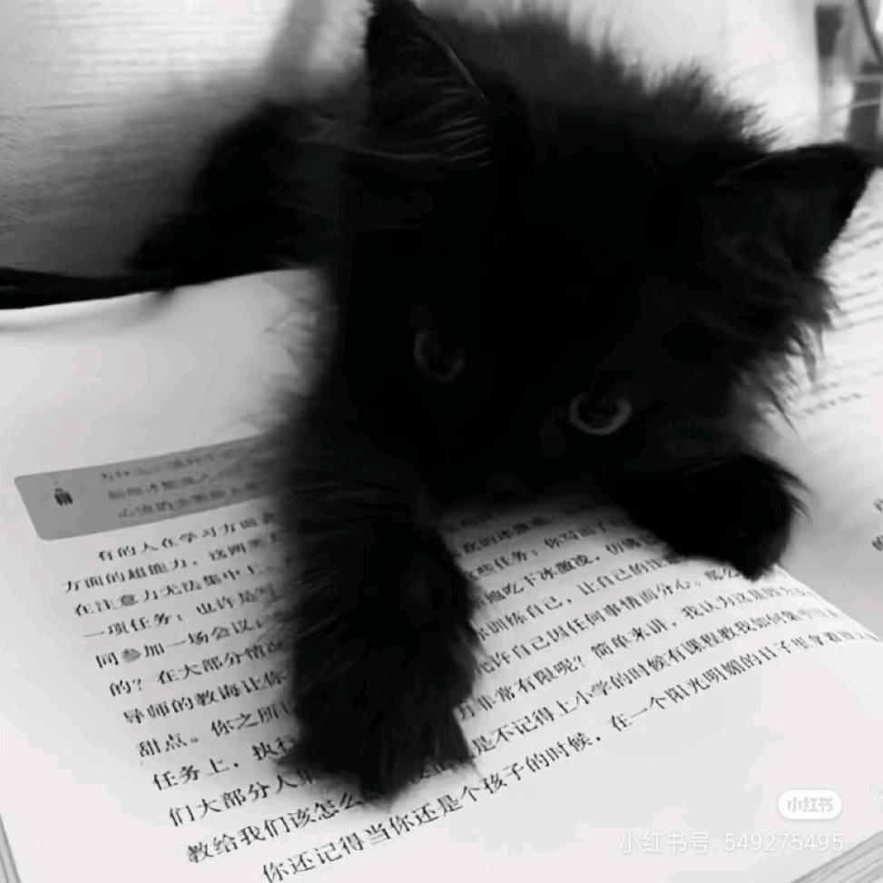 捧束星光