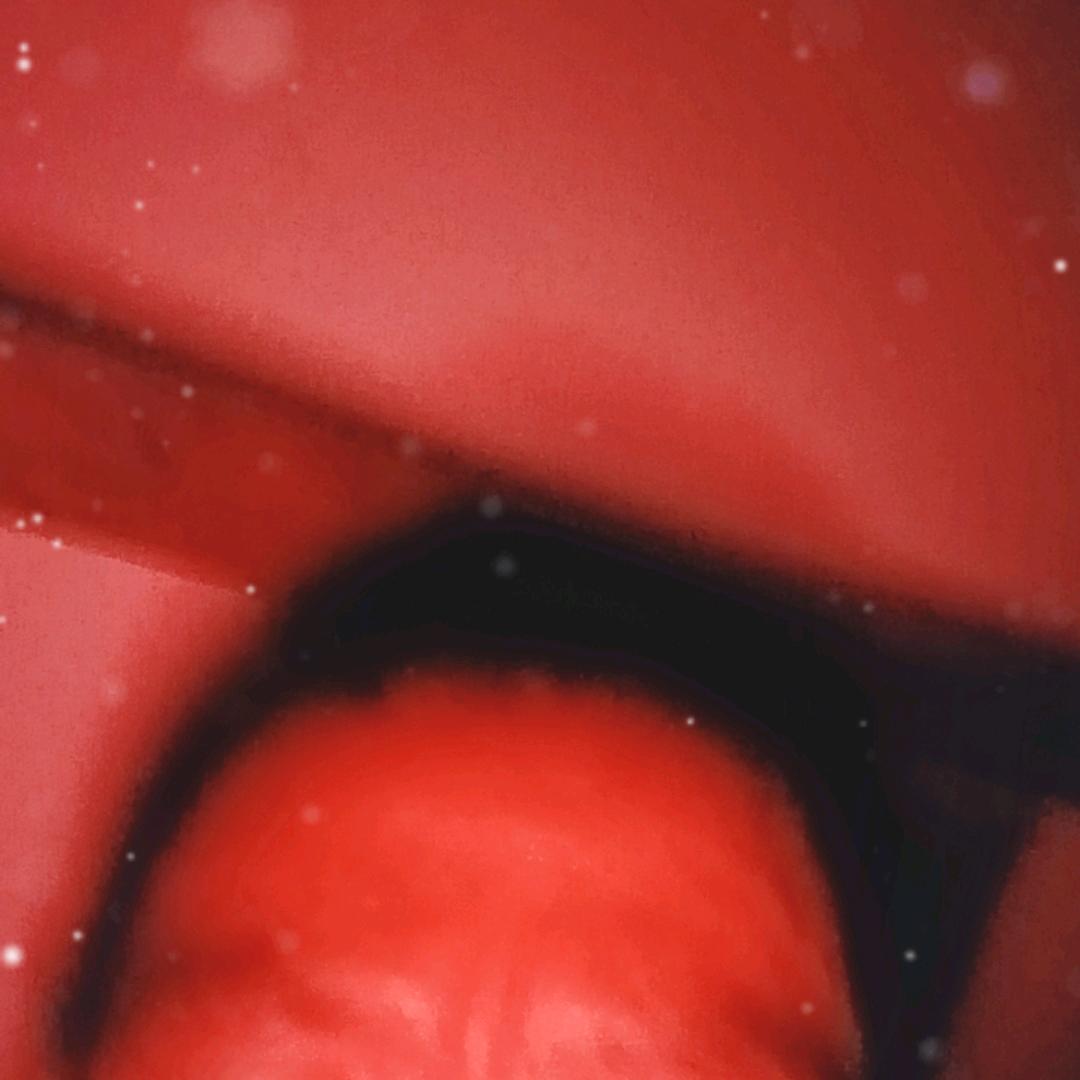 dytvwy3xqkhk