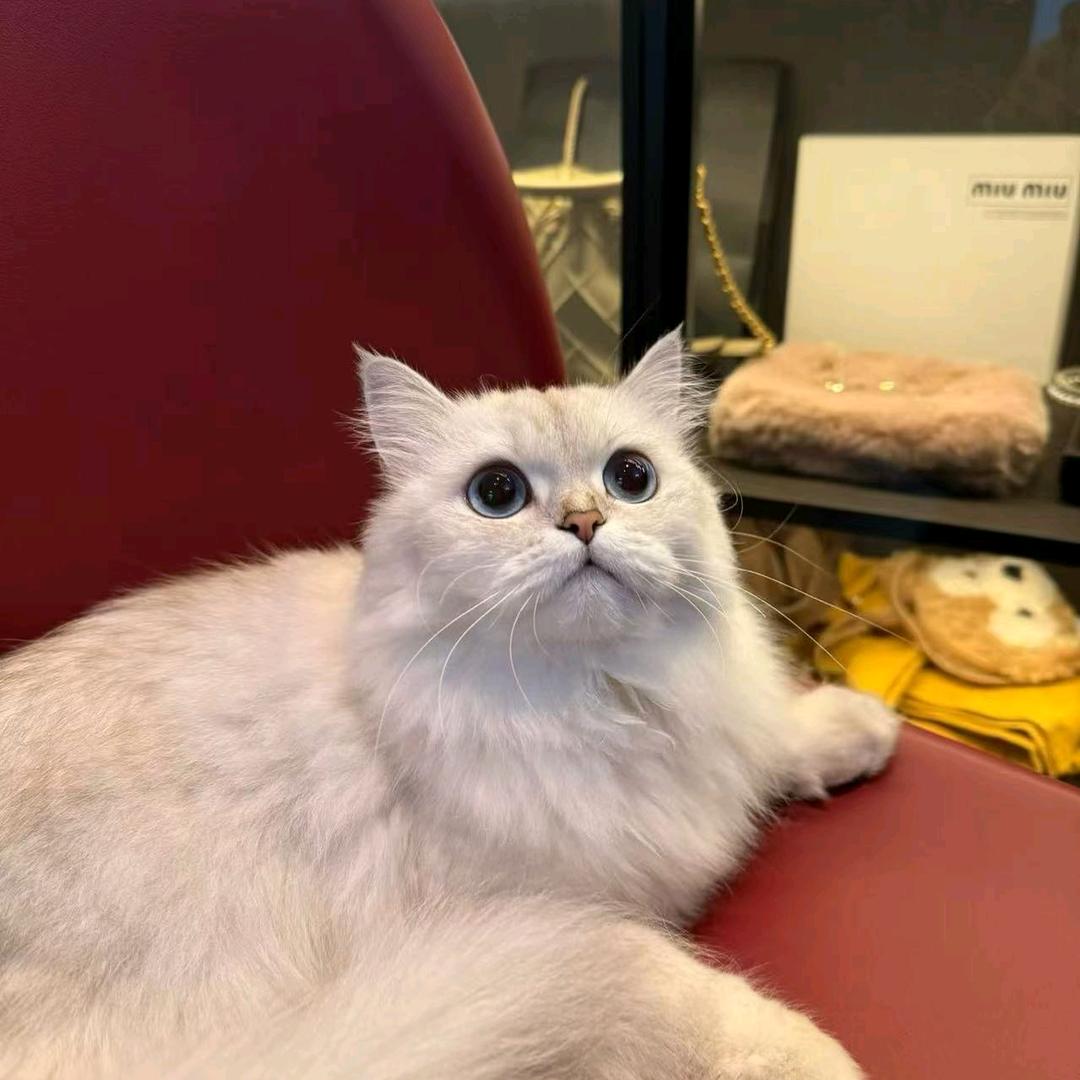 广州谨娴级百货店洁洁