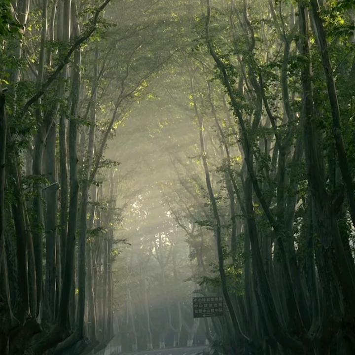 无尽的拉格朗日-1234