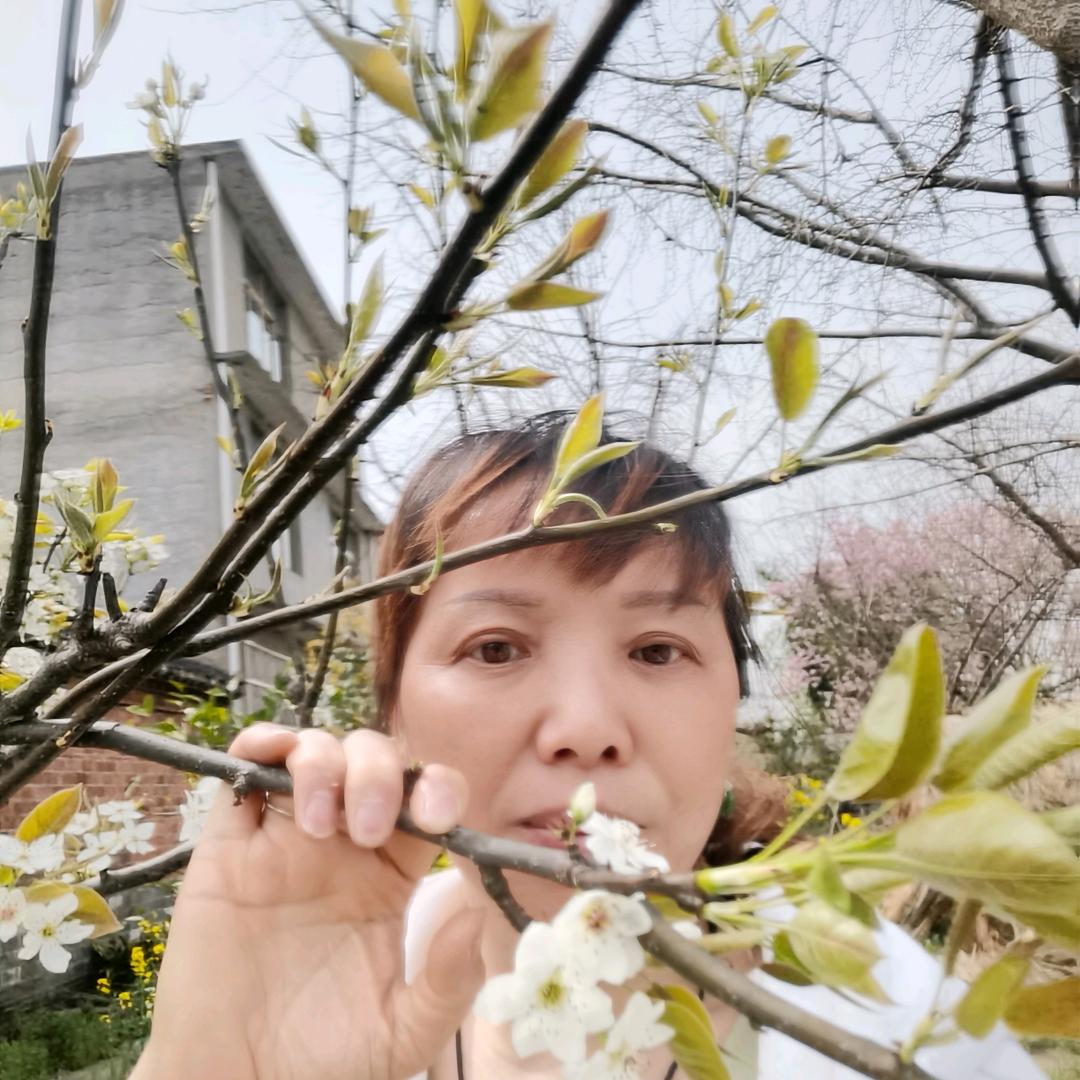 叶子