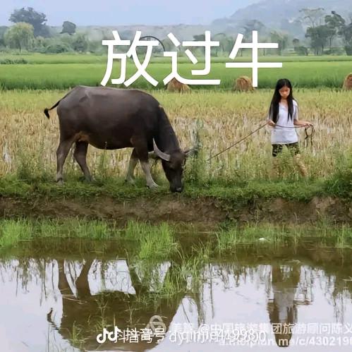 万事如意