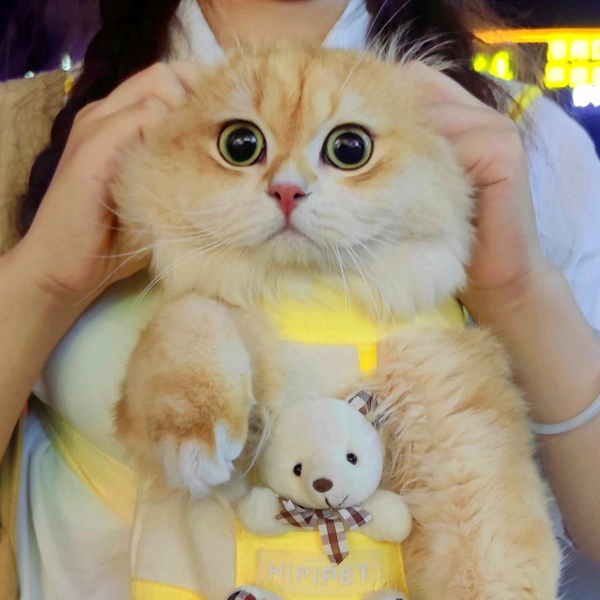 金三筒