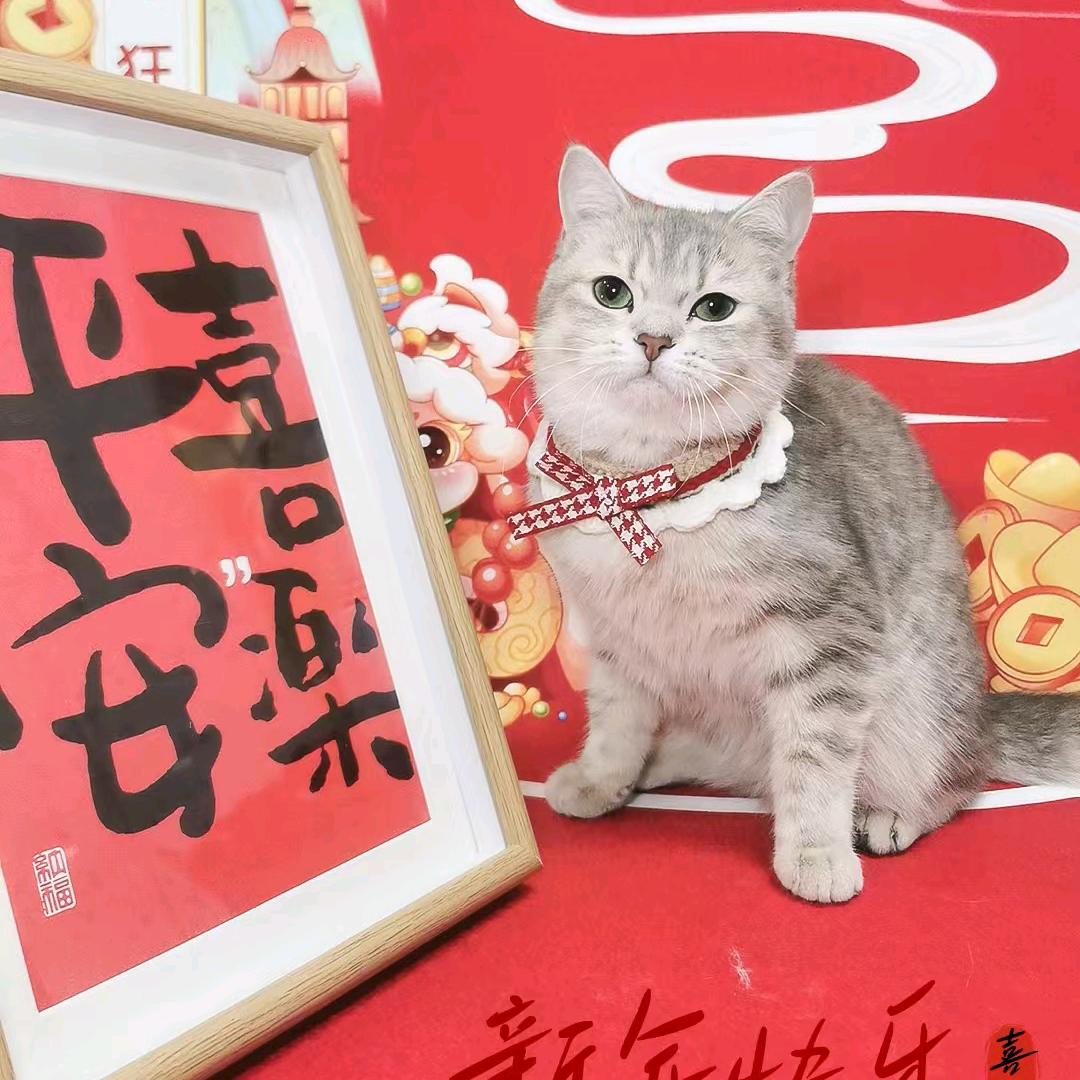 珈