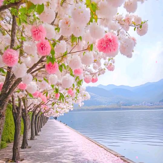 花开富贵！彩钢瓦，盖房搭棚