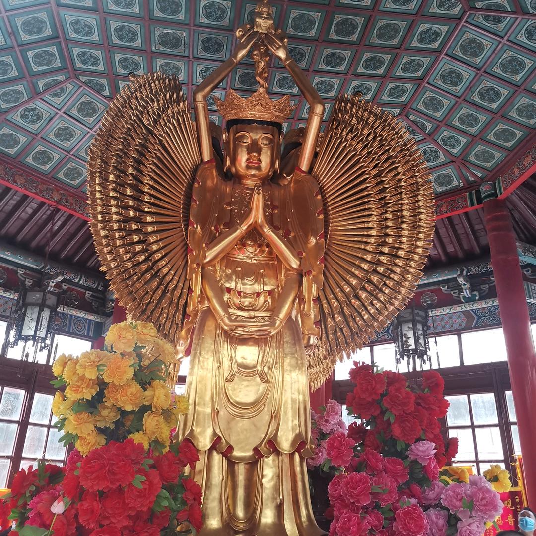 好好好好好好好好好好好好好好好好好好