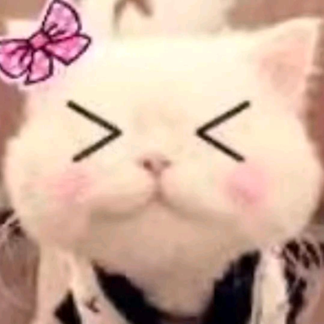ꪔ̤̱