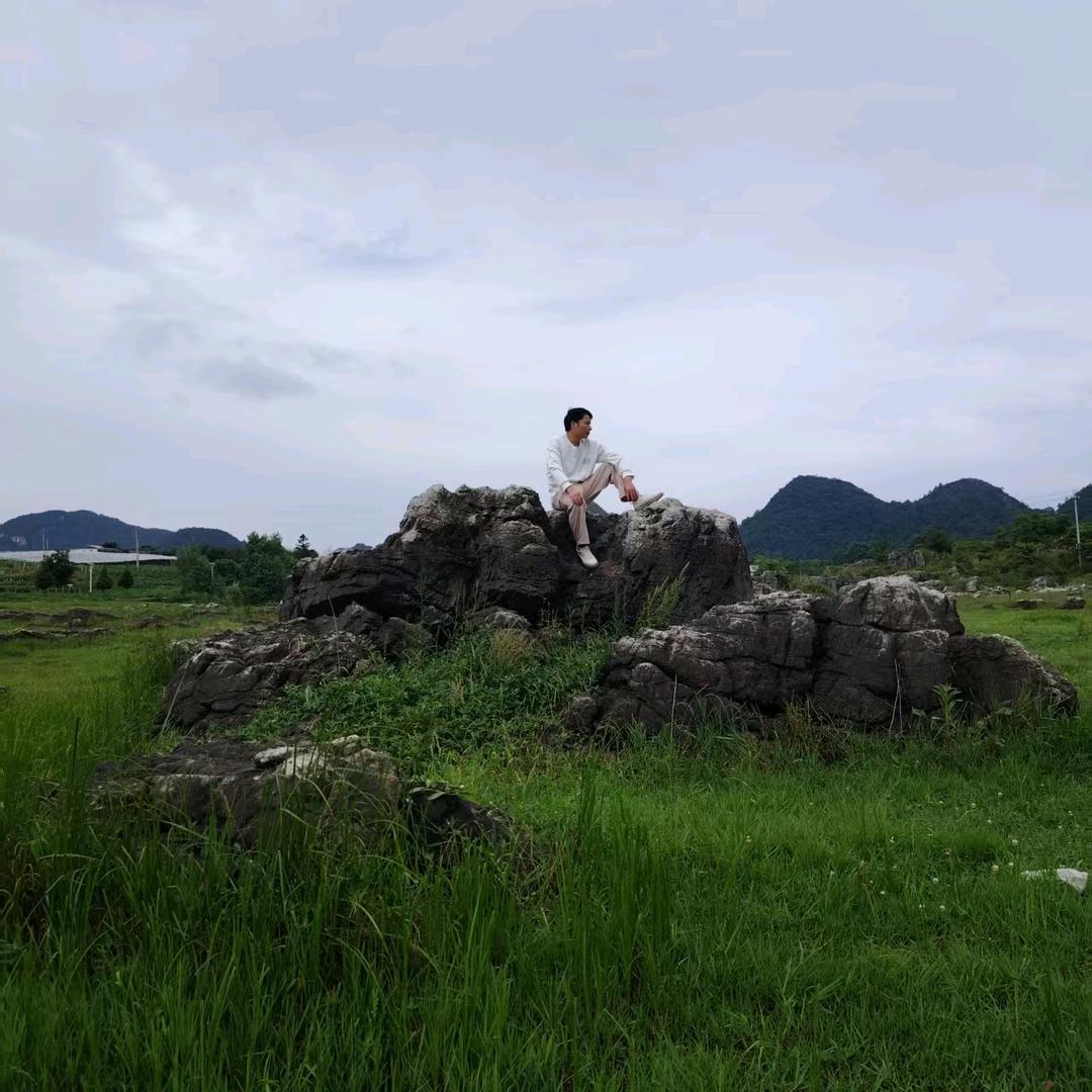 莱茶