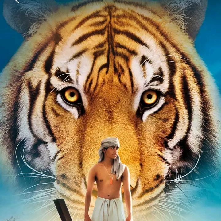 🌴虎风唤雨🌴