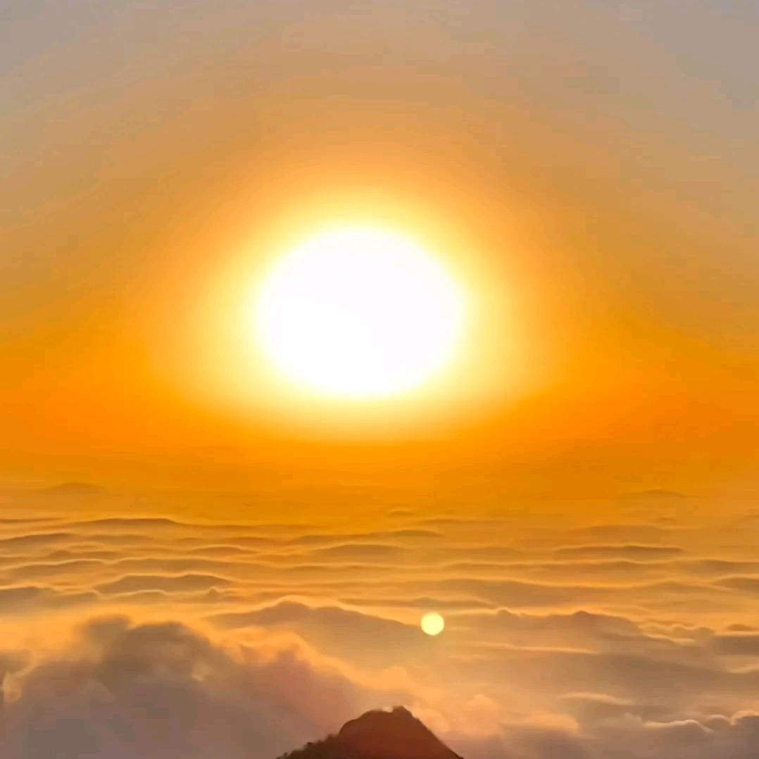 田野