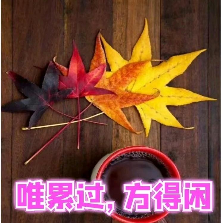 未来不是梦