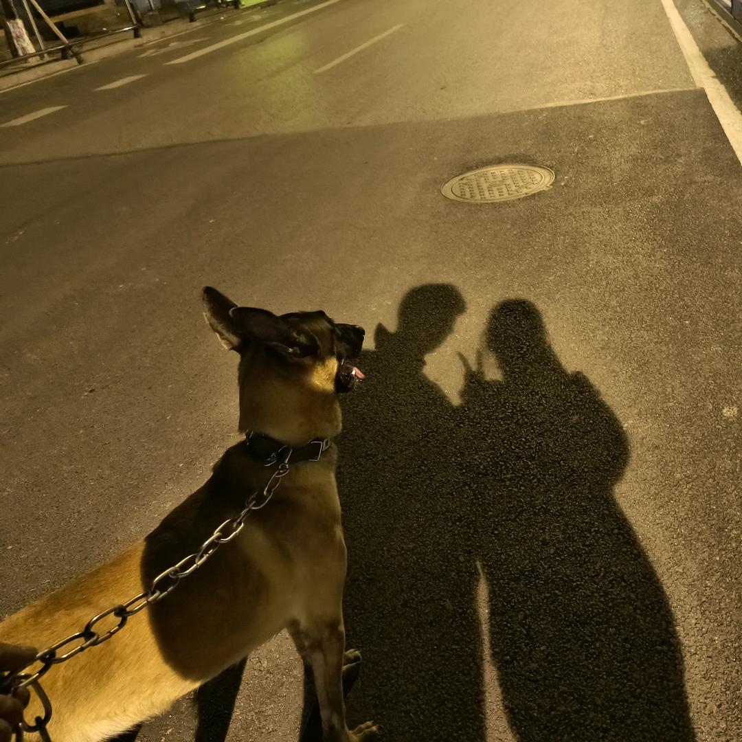 马户的野摊儿（杭州打野版）