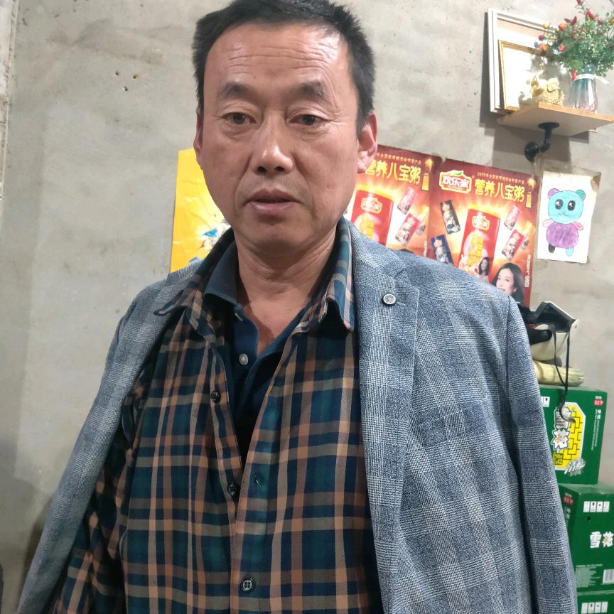 张阳《苦命人》