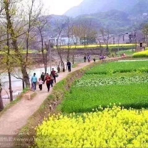 (酒林纯酿）邬妹