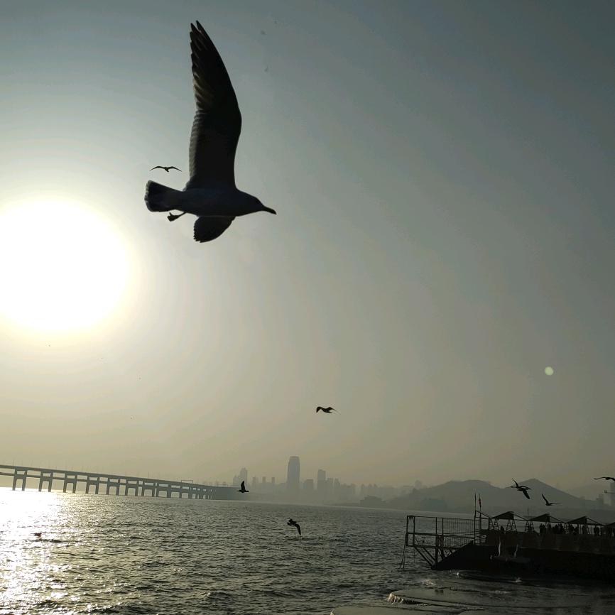 TLHJ（逃离混境）