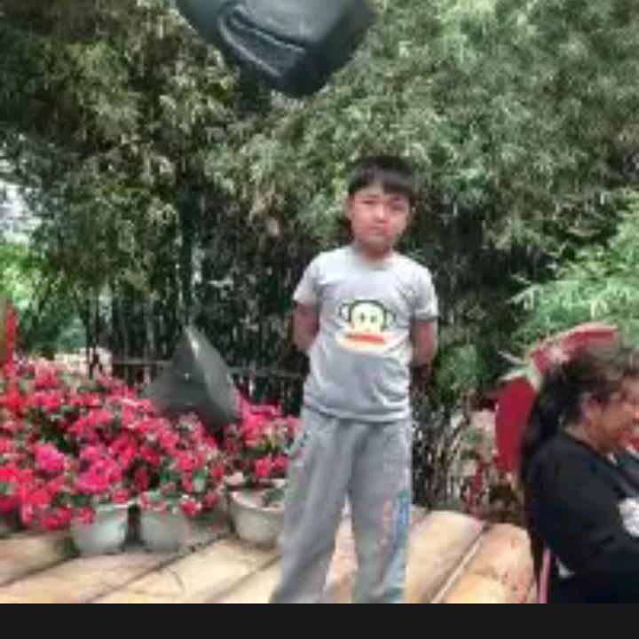顺风顺水