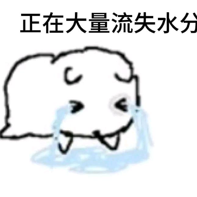虚无·轮回prime