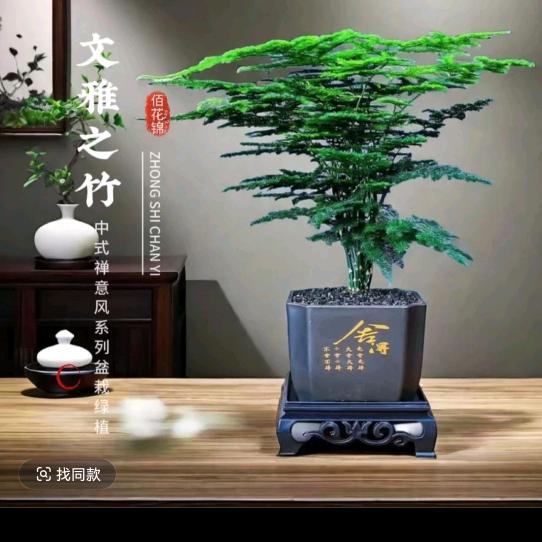 红日相伴为你而来