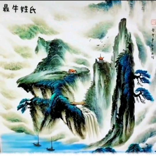 丛林 仰望