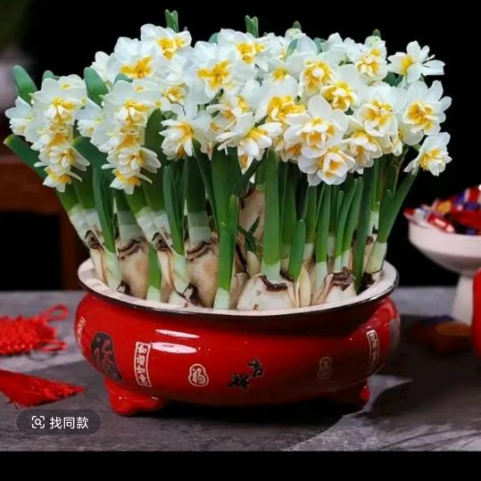 草草