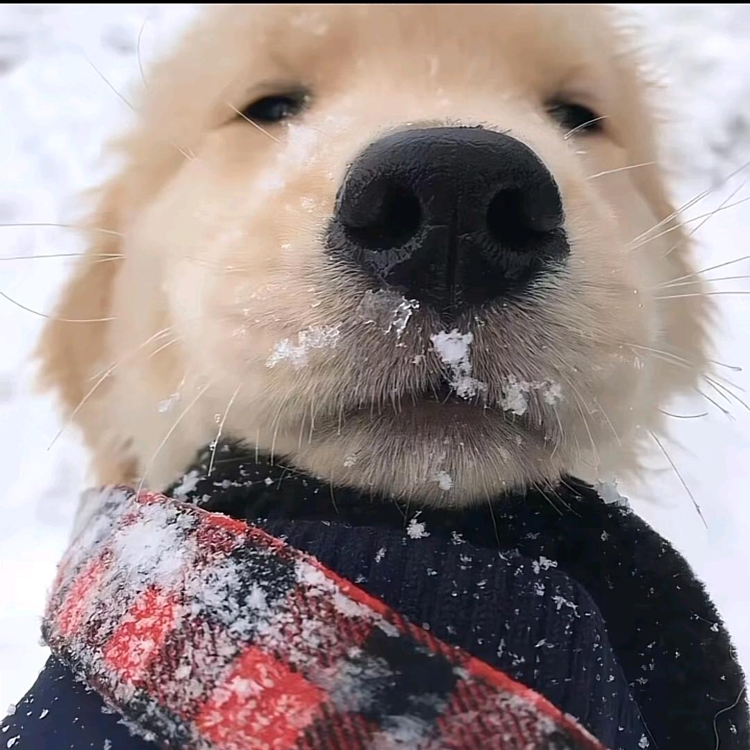 小小人儿